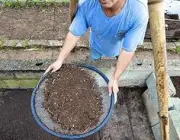Cultivando Minhocas 1