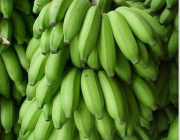 Cultivares da Banana 2