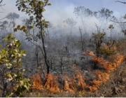 Danos Ambientais no Cerrado 3