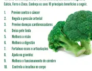 Delicioso Brócolis 6