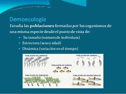 Demoecologia 1