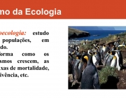 A forma como os organismos crescem, as suas taxas de mortalidade, sobrevivência, etc.