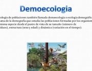 Demoecologia 6