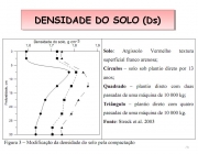 Densidade do Solo 1