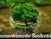 Desenvolvimento Sustentável 2