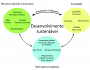 Desenvolvimento Sustentável 6