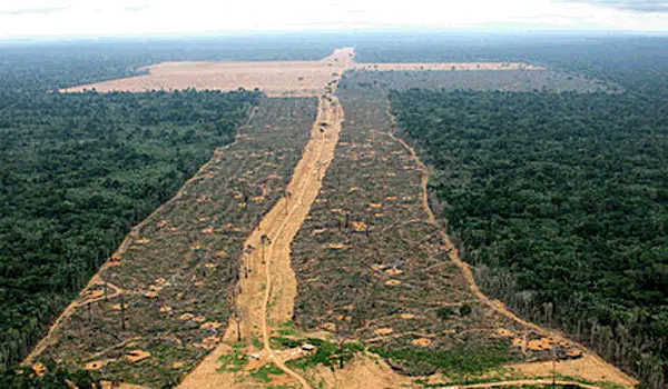 Desmatamento da Amazônia 5