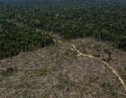 Desmatamento na Floresta Amazônica 3