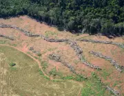 Desmatamento na Floresta Amazônica 5