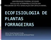 Ecofisiologia de Plantas 1