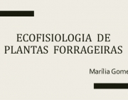 Ecofisiologia de Plantas 2