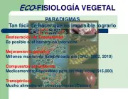 Ecofisiologia Vegetal 3