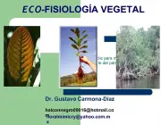 Ecofisiologia Vegetal 5