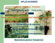 Ecofisiologia 3