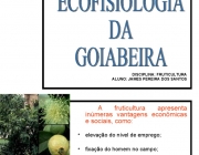 Ecofisiologia 5