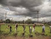 Ecologia Comunitária 5