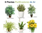 Ecologia de Plantas 5