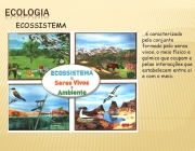 …é caracterizado pelo conjunto formado pelo seres vivos, o meio físico e químico que ocupam e pelas interacções que estabelecem entre si e com o meio.