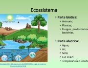 Ecologia do Ecossistema 3
