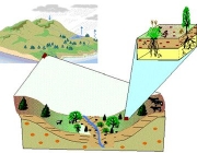 Ecologia do Ecossistema 4