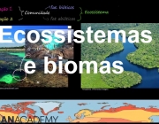 Ecologia do Ecossistema 6