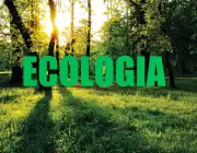 Ecologia 4