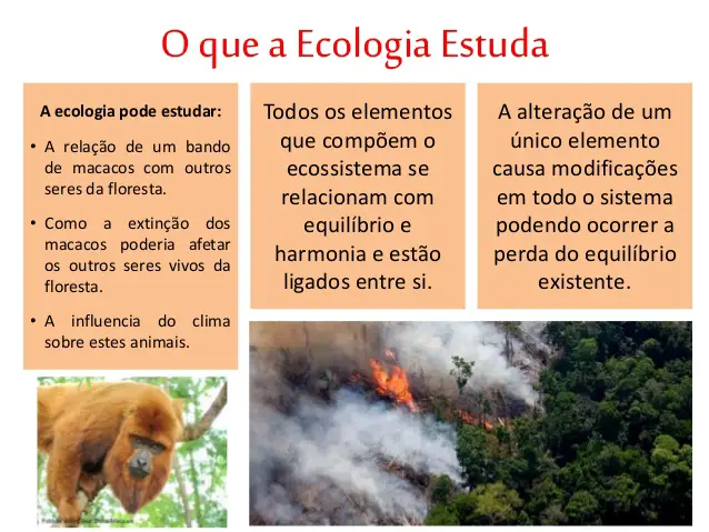 Ecologia 5