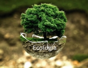 Ecologia 1