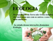 Ecologia 4