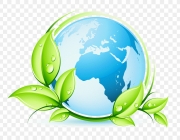 Ecologia - Imagens 6