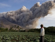 Ecologia no Monte Sinabung 1