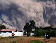 Ecologia no Monte Sinabung 2