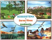 Ecossistema 2