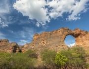 Ecossistema Brasileiro da Caatinga 6