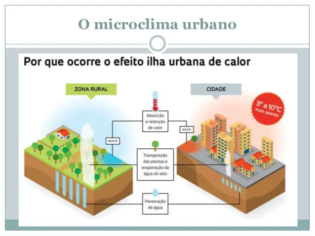 Ecossistema Urbano 2