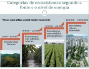 Ecossistema Urbano 1