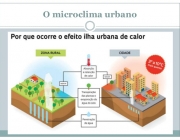 Ecossistema Urbano 2