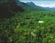 Ecossistemas da Floresta Amazônica 2