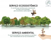 Ecossistêmica 2