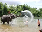 Elefantes Asiáticos Brincando e Matando a Sede Com Água 1