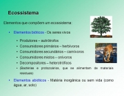 Elementos bióticos - Os seres vivos. Produtores – autrótrofos. Consumidores primários – herbívoros. Consumidores secundários – carnívoros. Consumidores mistos – onívoros. Decompositores – heterotróficos. (Bactérias e protozoários, que se alimentam de materiais residuais) Elementos abióticos - Matéria inorgânica ou sem vida (como água, ar, solo)