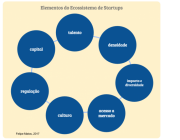 Elementos de um Ecossistema 2