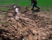 Erosão na Agricultura 1