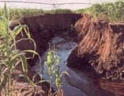 Erosão na Agricultura 2