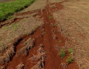 Erosão na Agricultura 4