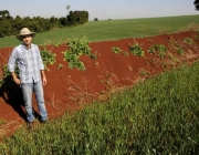 Erosão na Agricultura 6