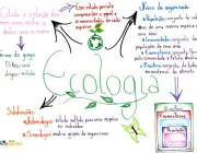 Estudar Ecologia 1