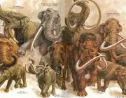 Evolução dos Elefantes 3