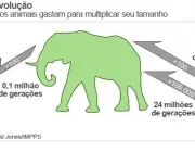 Evolução dos Elefantes 4