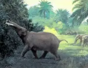 Evolução dos Elefantes 6